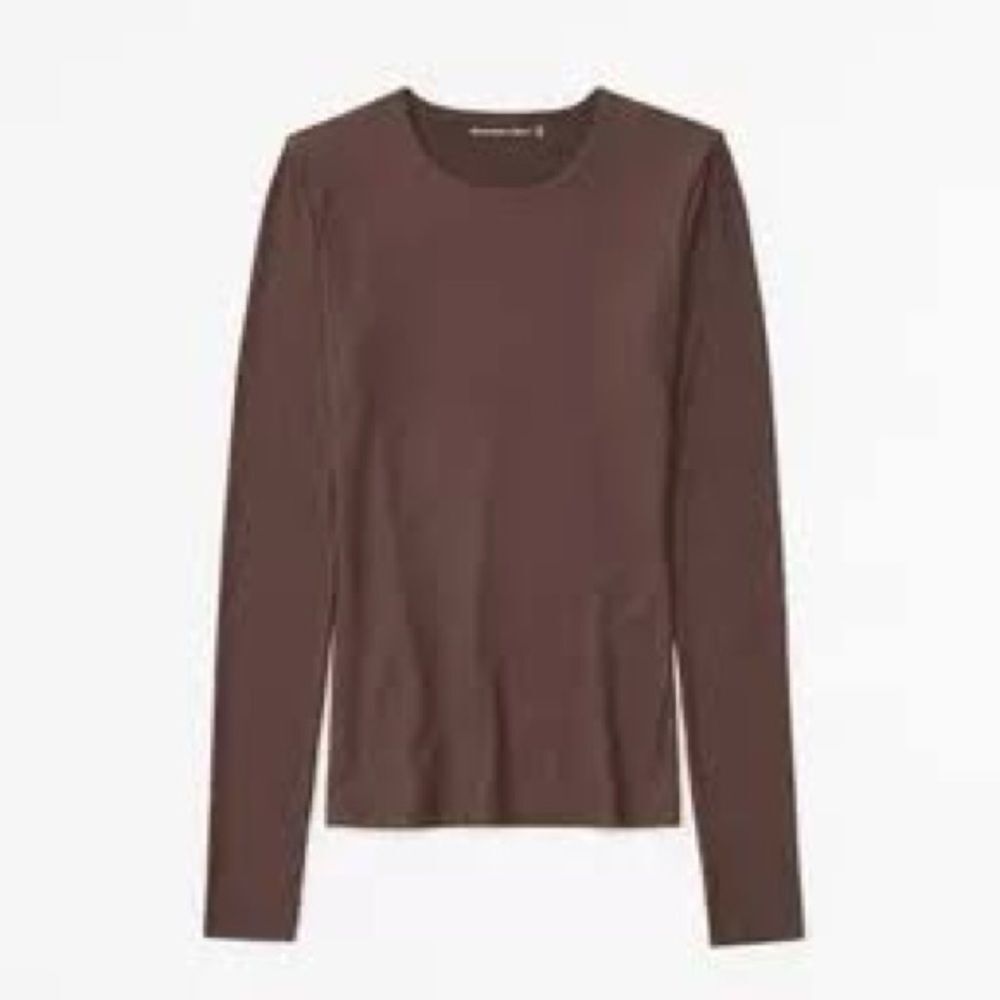 Abercrombie & Fitch Brown Fitted Long Sleeve Tee
